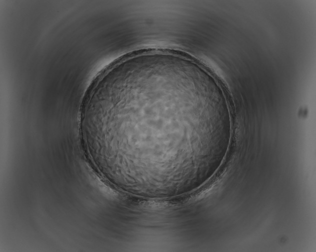 X0000091510831200708241627