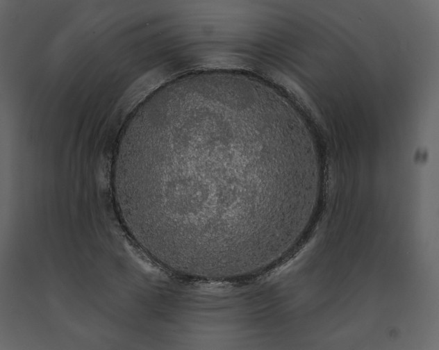 X0000091510833200708241627