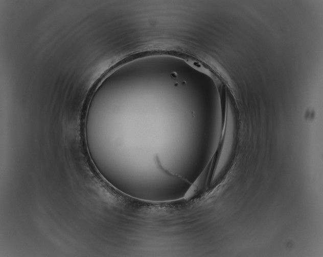 X0000091510834200708241627