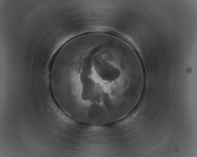 X0000091510835200708241627