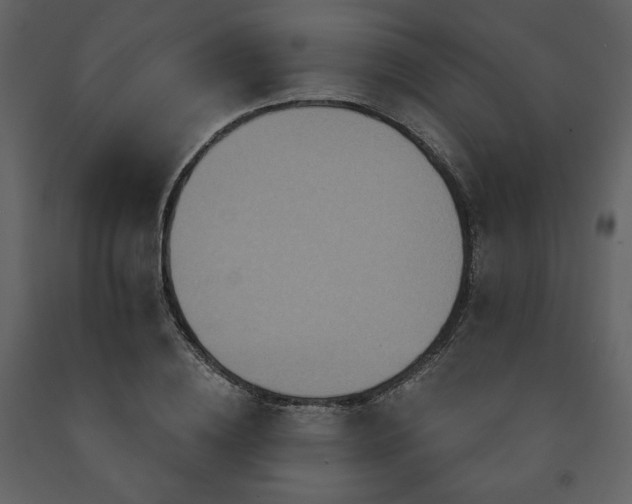 X0000091510836200708241627