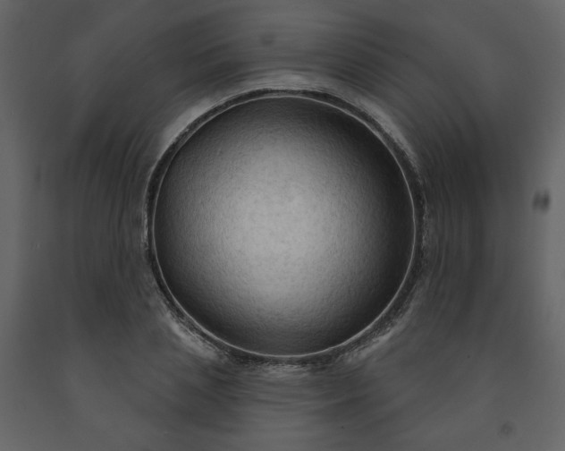 X0000091510837200708241627