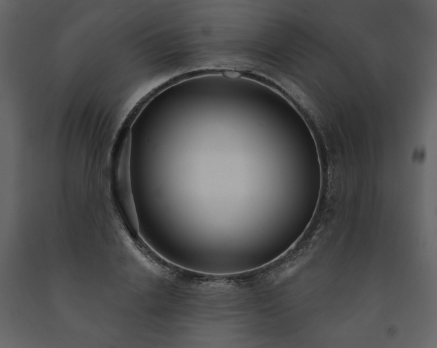 X0000091510838200708241627