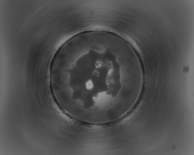 X0000091510839200708241627