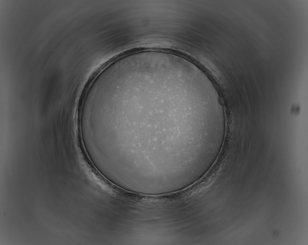 X0000091510840200708241627