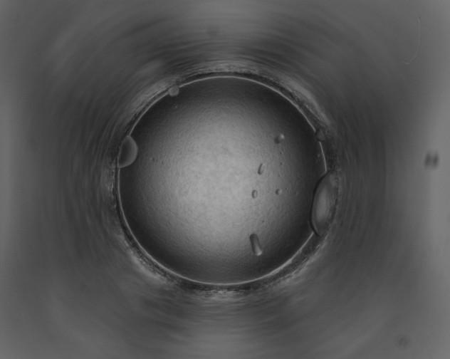 X0000091510841200708241627