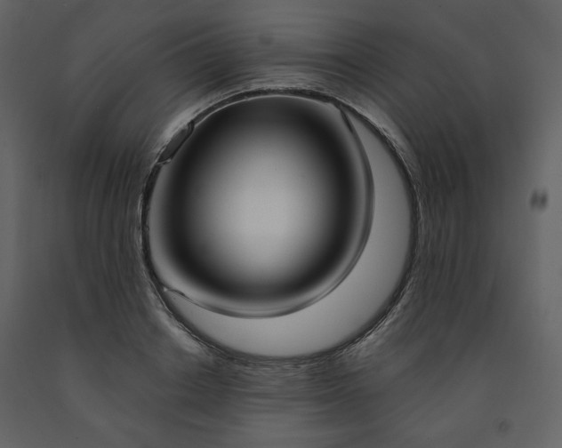 X0000091510842200708241627