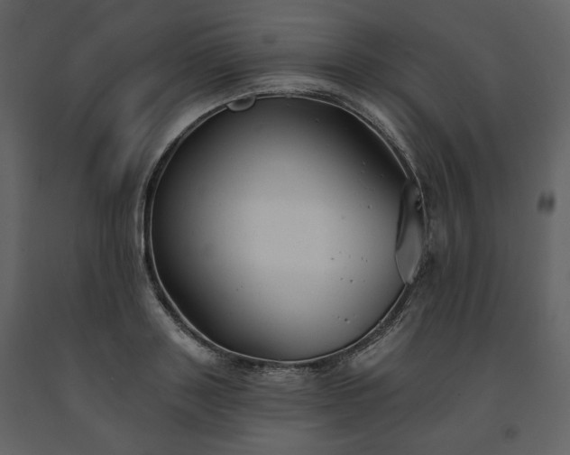 X0000091510843200708241627