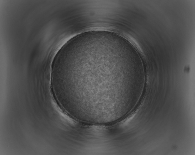 X0000091510844200708241627