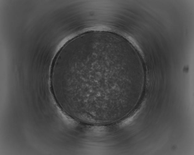 X0000091510845200708241627