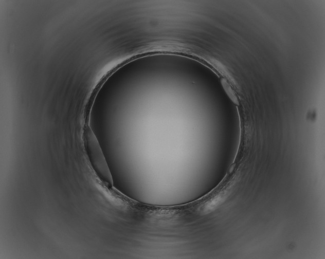 X0000091510846200708241627