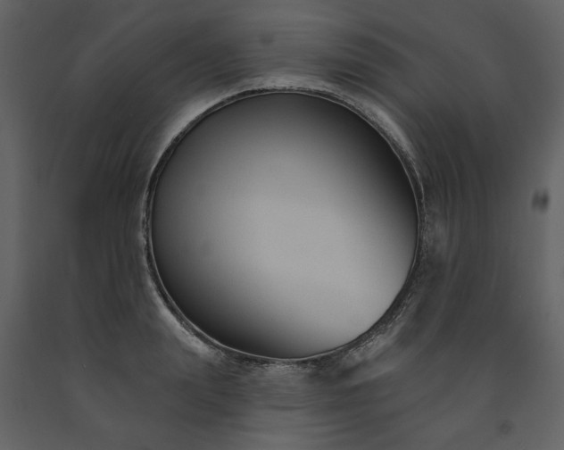 X0000091510847200708241627