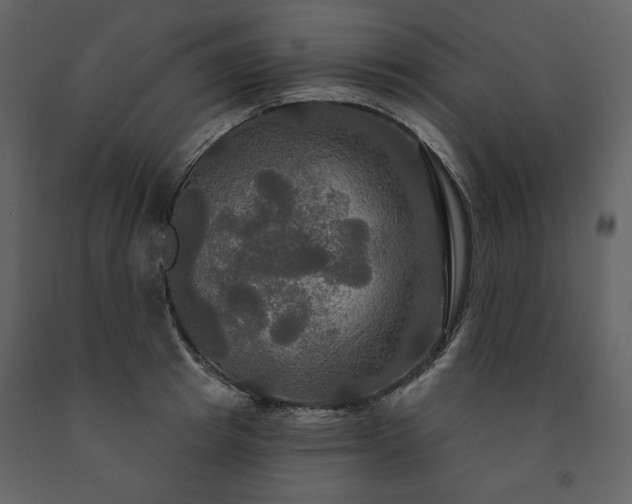 X0000091510849200708241627