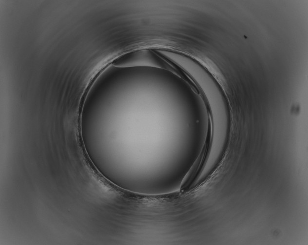 X0000091510850200708241627