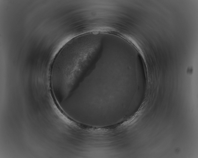 X0000091510851200708241627