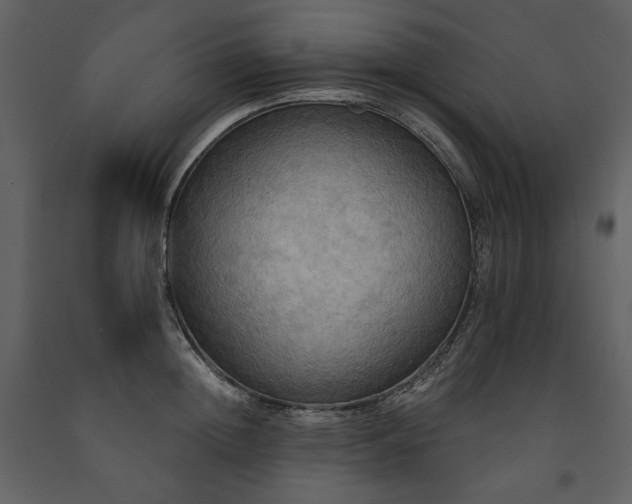 X0000091510852200708241627