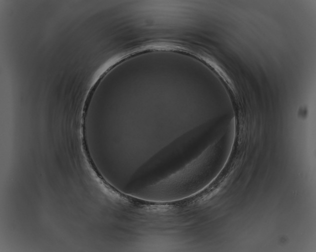 X0000091510853200708241627