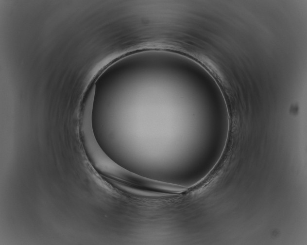 X0000091510854200708241628