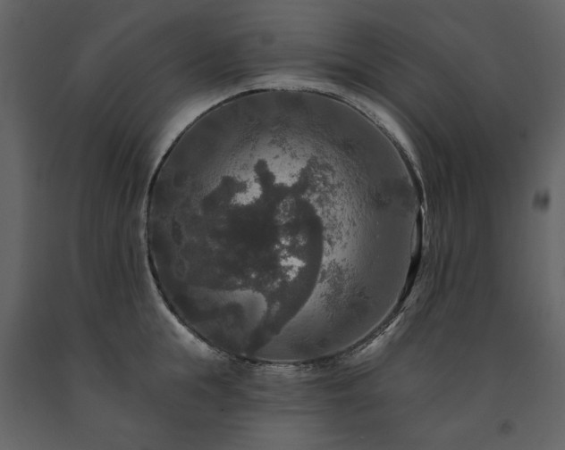 X0000091510855200708241628