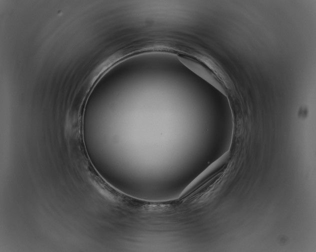 X0000091510858200708241628