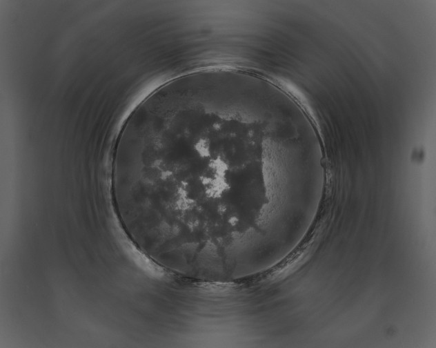 X0000091510859200708241628