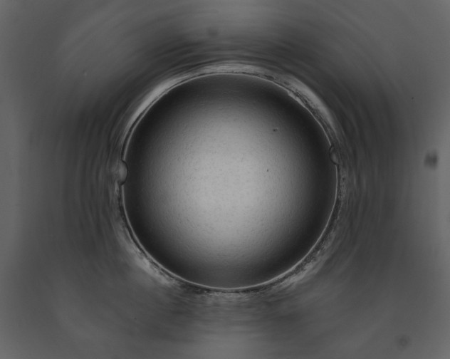 X0000091510860200708241628