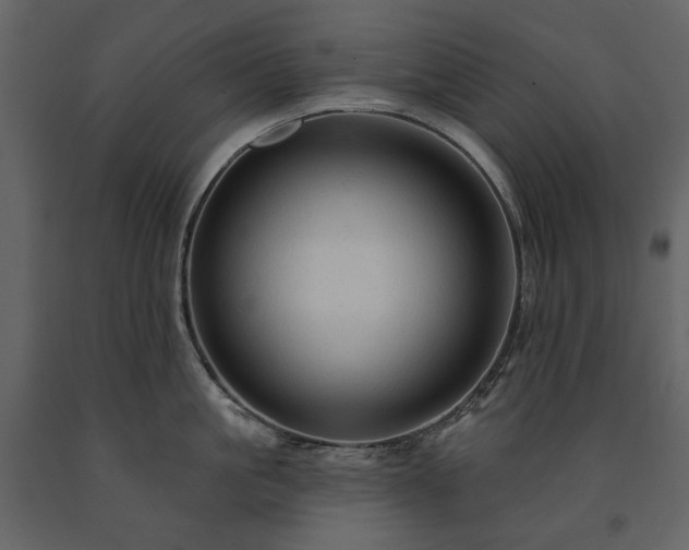 X0000091510861200708241628