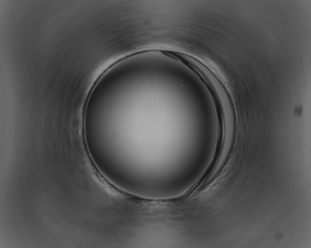 X0000091510862200708241628