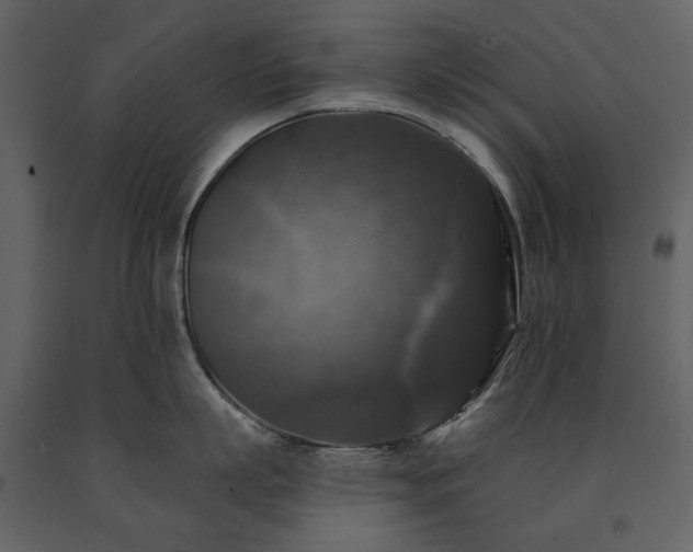 X0000091510863200708241628