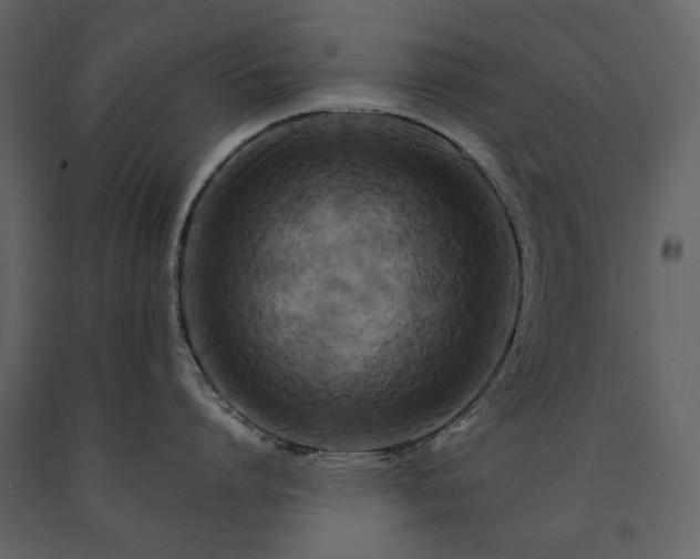 X0000091510864200708241628