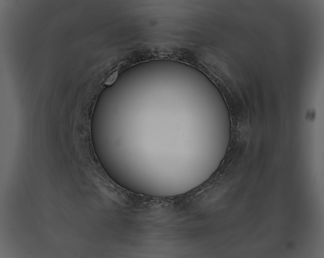 X0000091510865200708241627