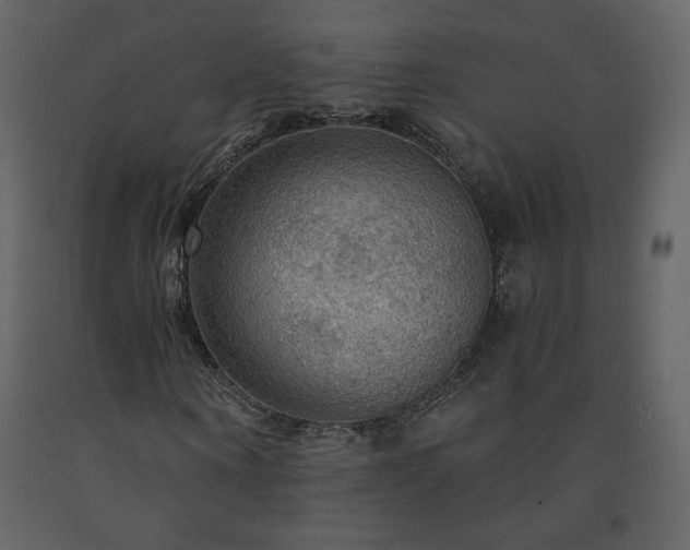 X0000091510866200708241627