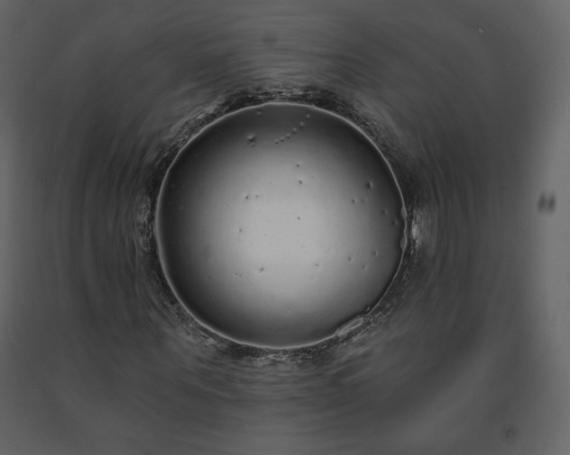 X0000091510867200708241627