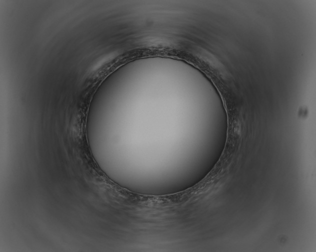 X0000091510869200708241627