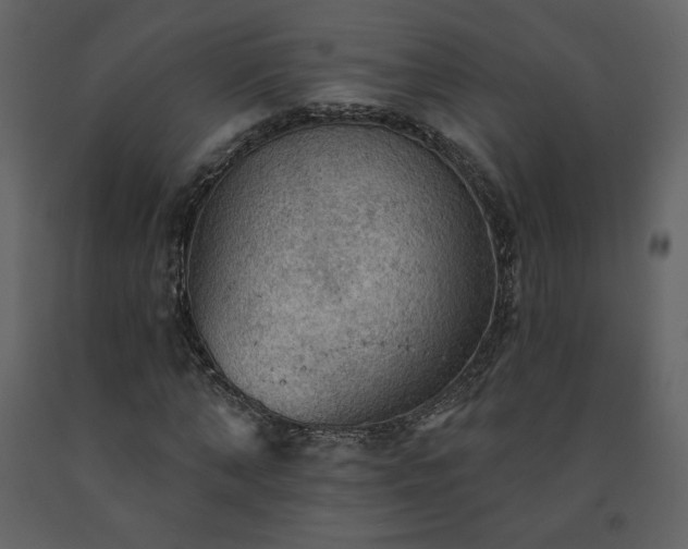 X0000091510870200708241627