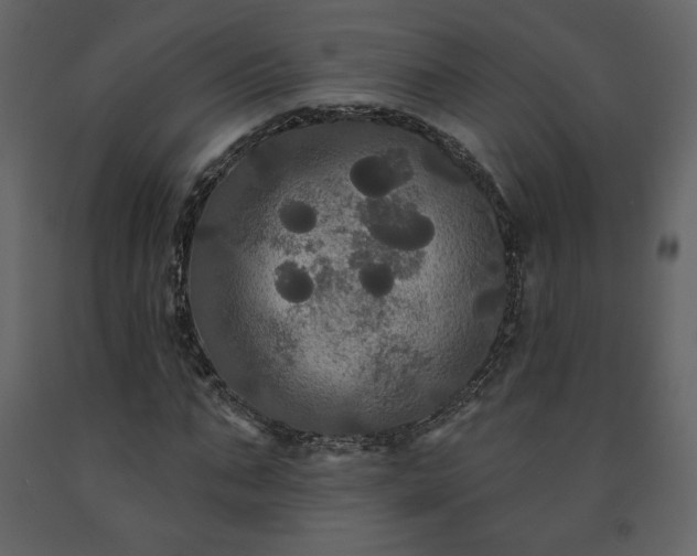 X0000091510871200708241627