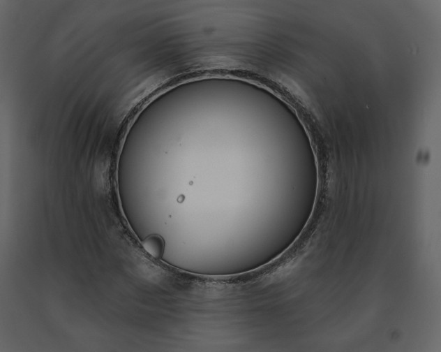 X0000091510873200708241627