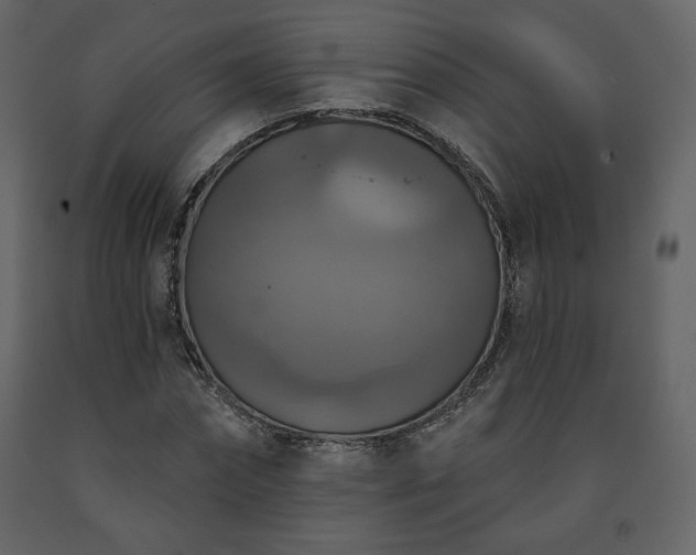 X0000091510874200708241627