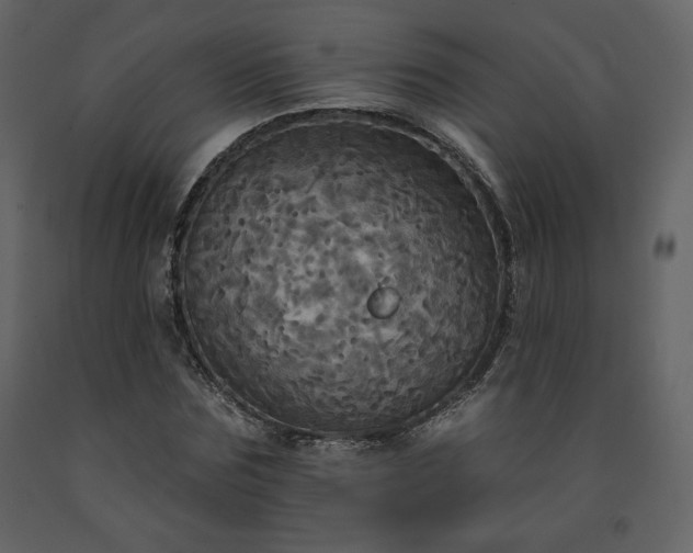 X0000091510875200708241627