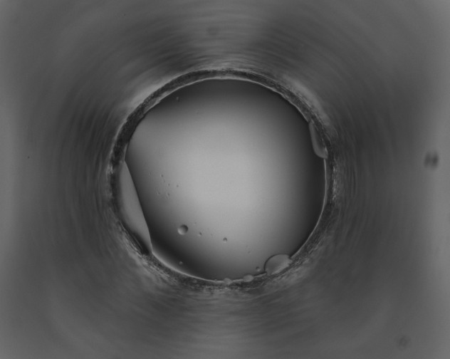 X0000091510876200708241627