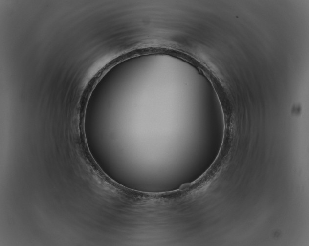 X0000091510877200708241627