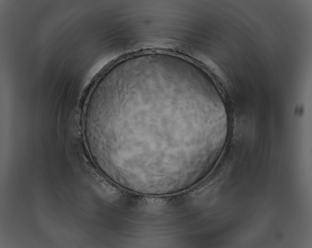 X0000091510878200708241627