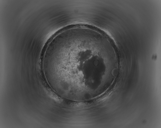 X0000091510879200708241627