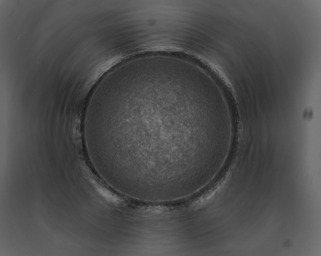 X0000091510881200708241627