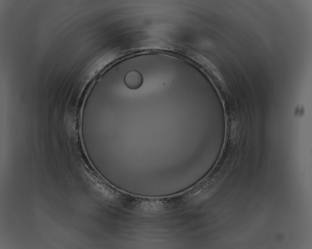 X0000091510882200708241627