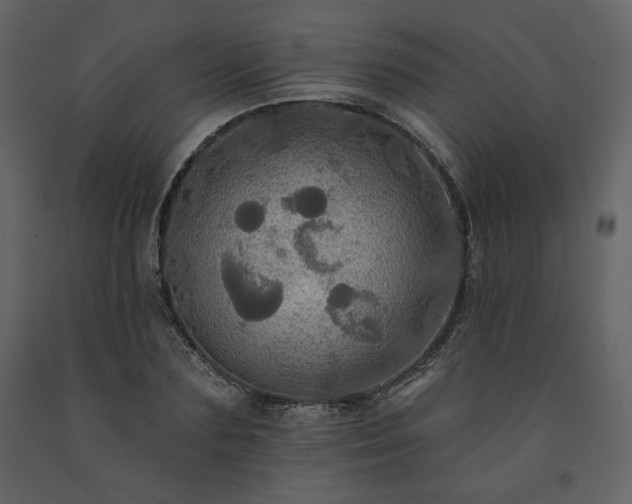 X0000091510883200708241627