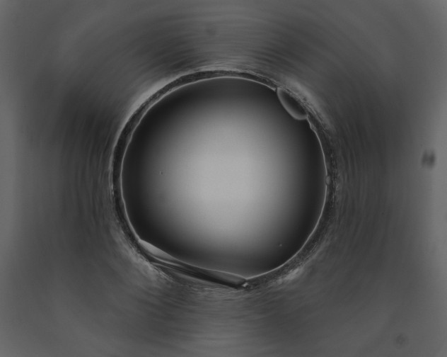 X0000091510884200708241627