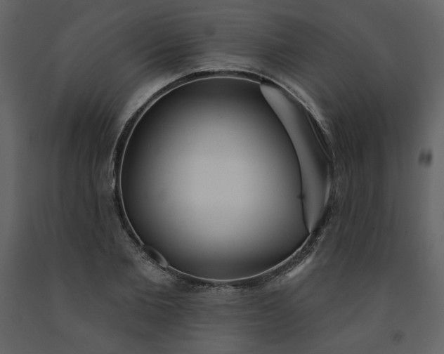 X0000091510885200708241627