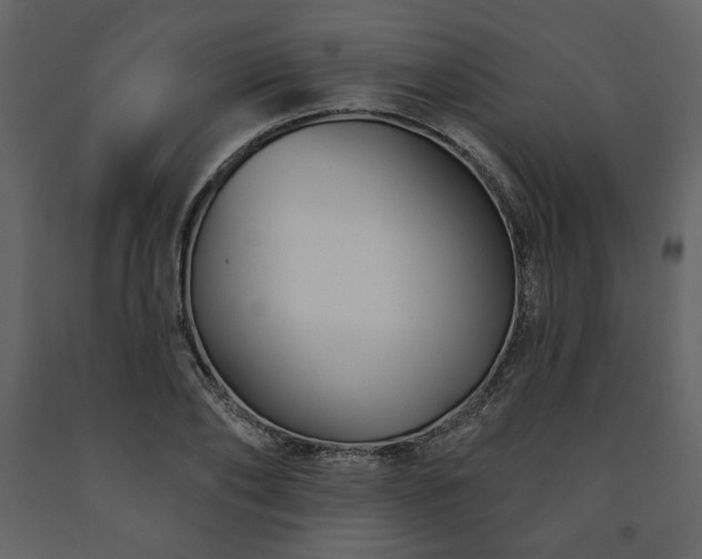 X0000091510886200708241627