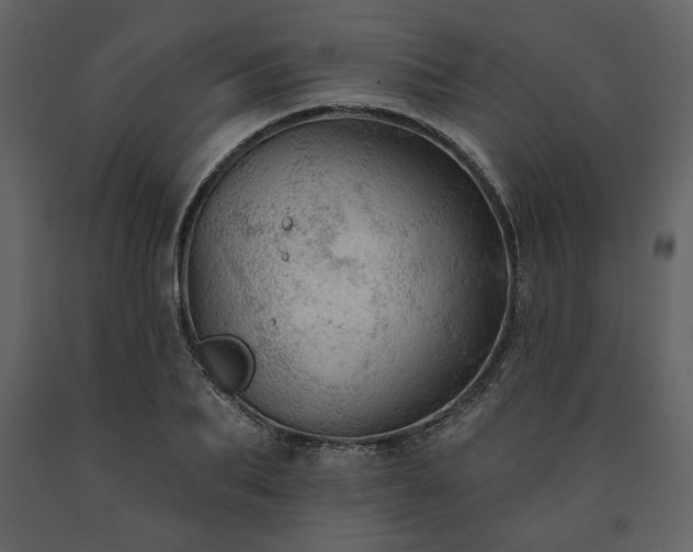 X0000091510887200708241627